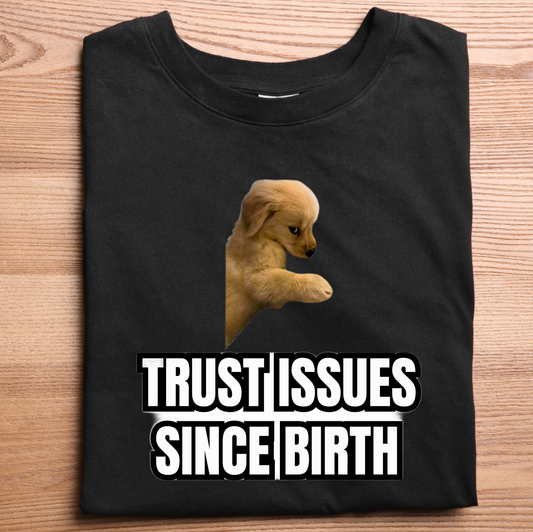 Unisex Oversized Standard T-Shirt